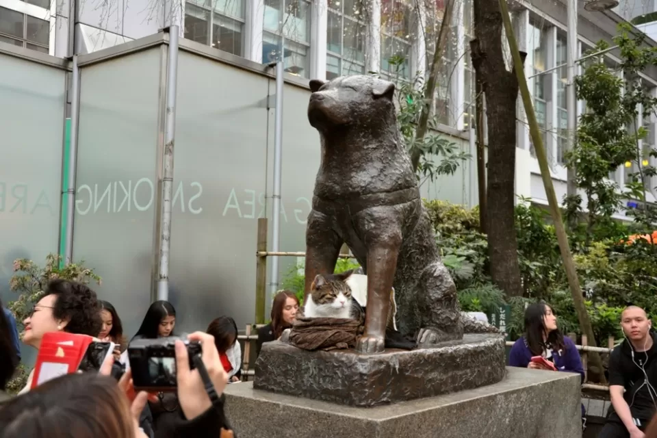 Shibuya, Tokyo
